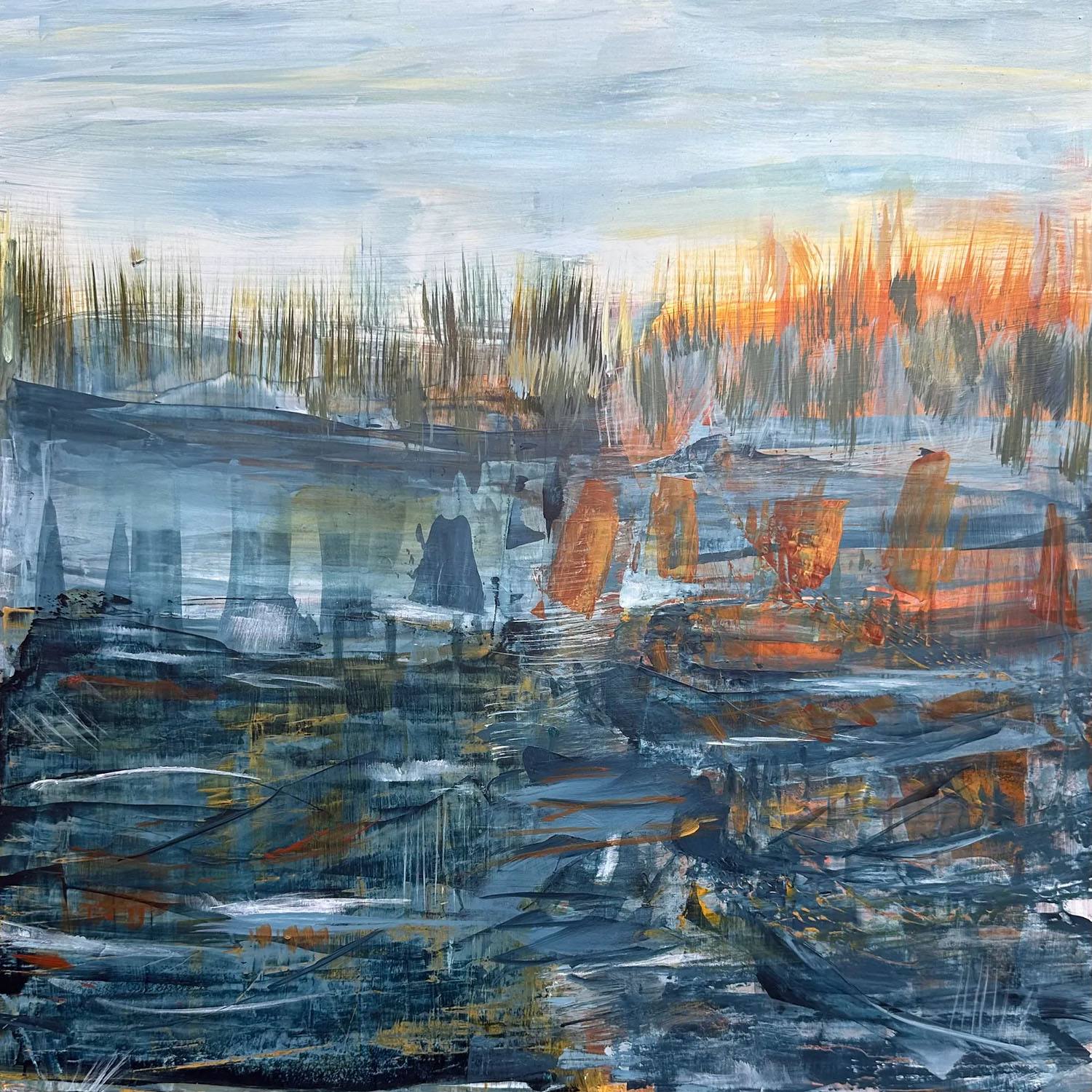 wetlands wetlands